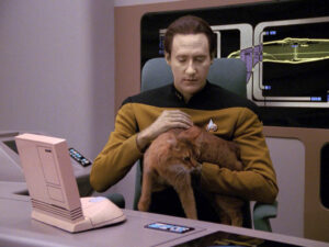 Data petting spot at his desk in his quarters